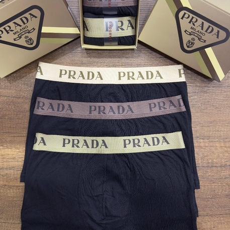 Premium Boxer - Model 3