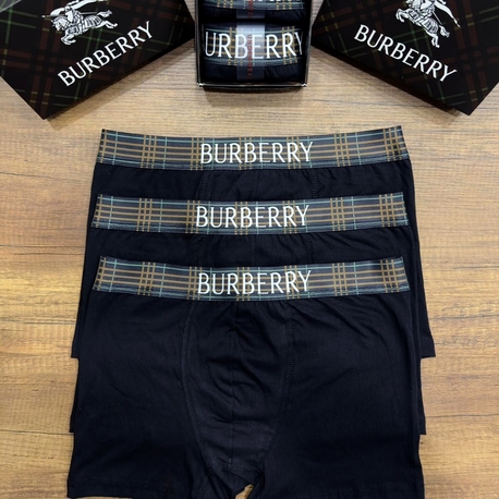 Premium Boxer - Model 4